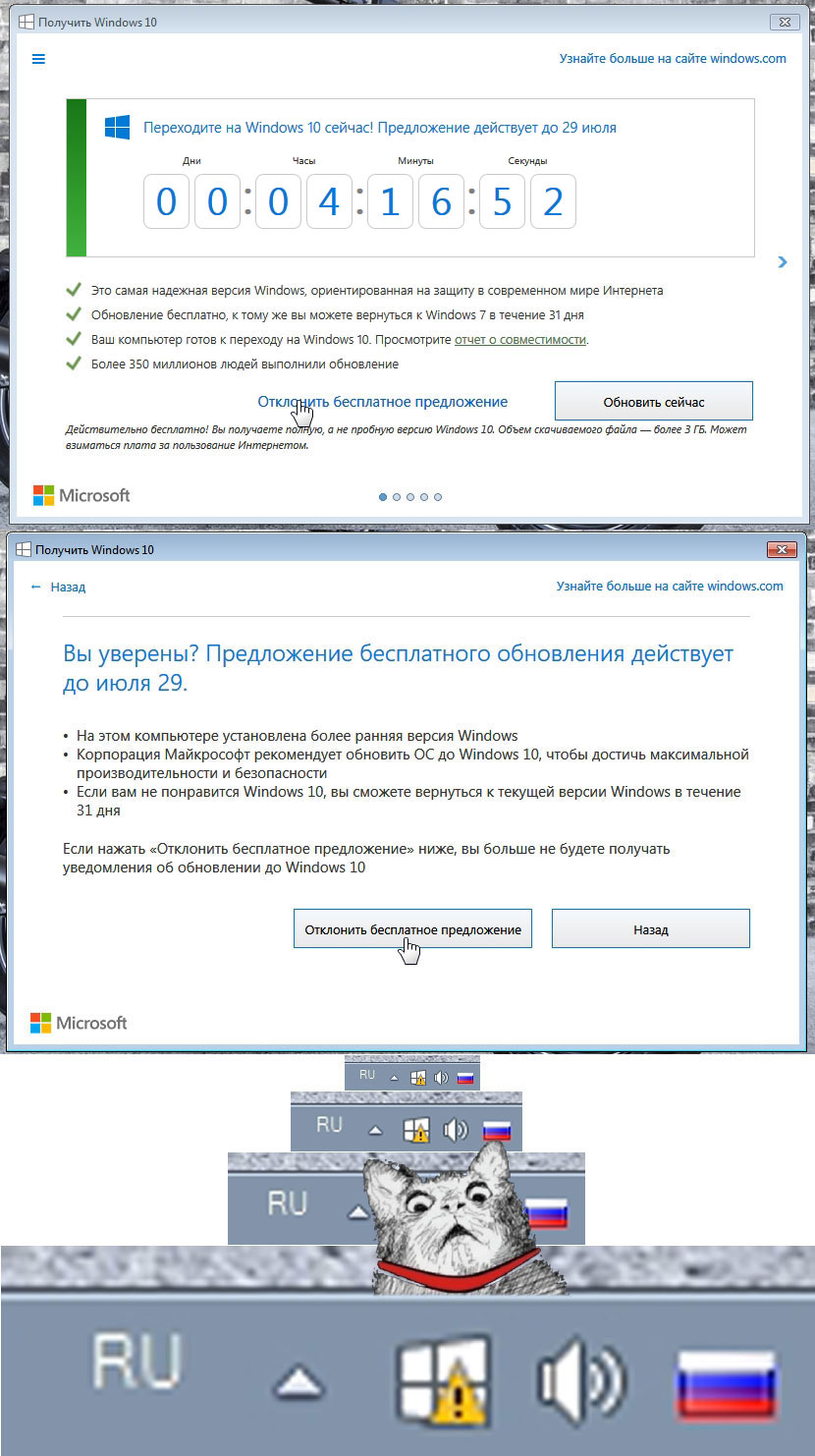 830x1482, 201 Kb / windows, обновление, кот