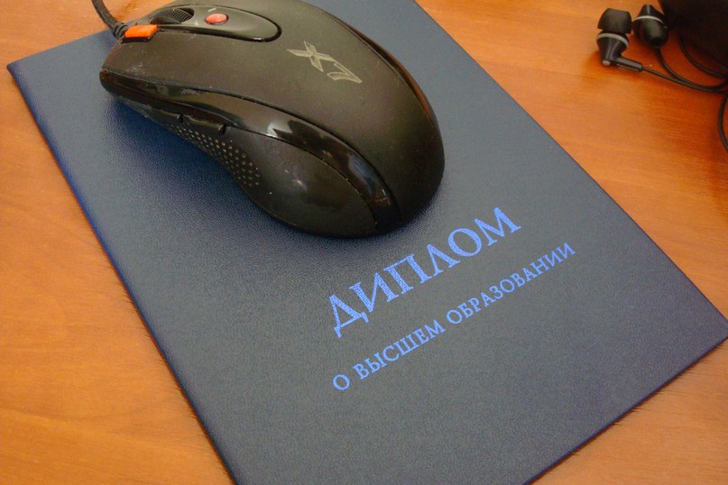 807x538, 78 Kb / мышка, диплом, коврик
