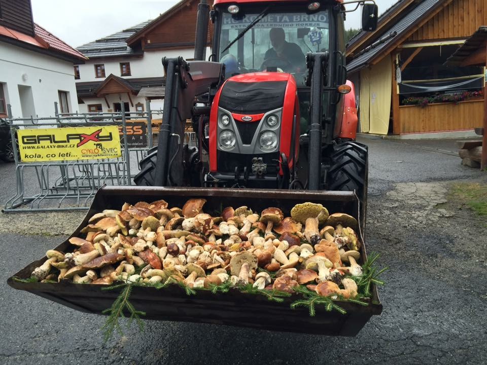 960x720, 218 Kb / трактор, грибы