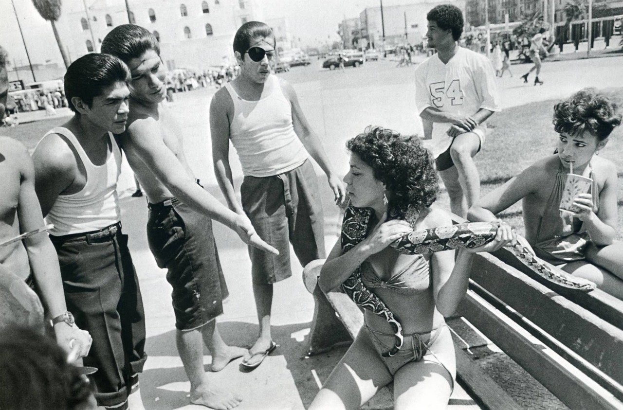 1280x843, 306 Kb / змея, негр, одноглазый, ретро, ч/б, сша, 1960е