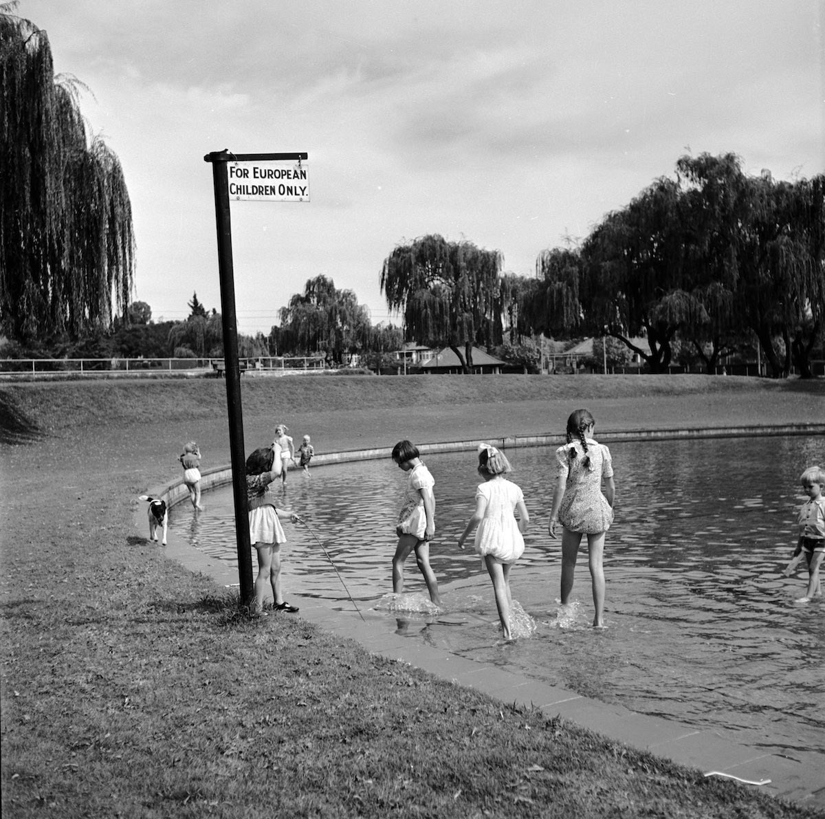 1200x1191, 305 Kb / Дети, вода, пруд, табличка, сегрегация