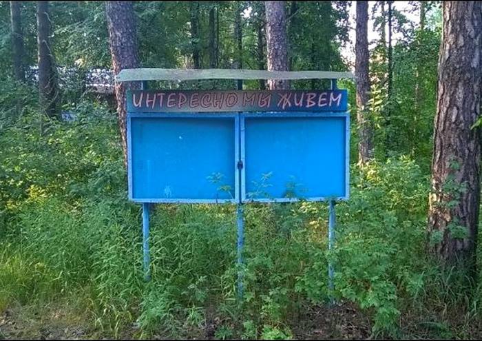 700x495, 81 Kb / доска, объявлений, новости, интересно, живём