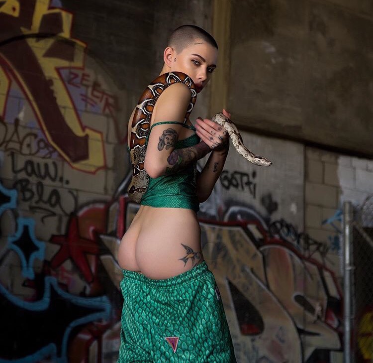 750x729, 146 Kb / змея, лысая, бритая, тату, попа, граффити, птичка