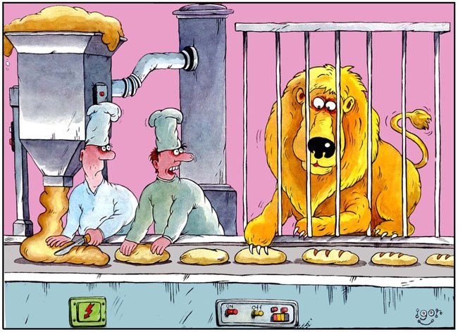 650x472, 92 Kb / лев, клетка, конвейер, булки, батон, тесто, производство, хлебопекарня, надрезы