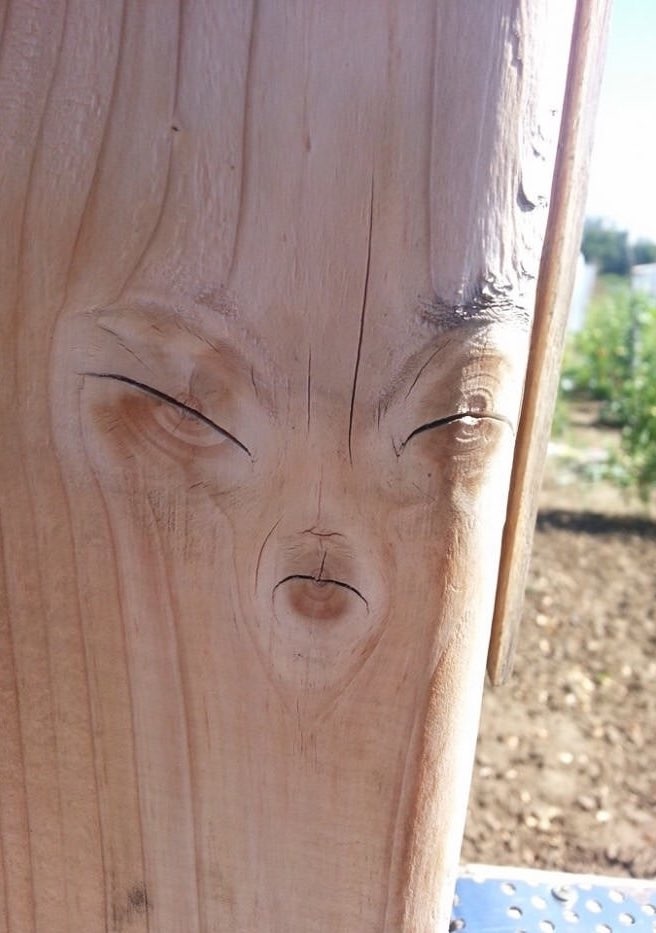 656x933, 118 Kb / дерево, инопланетянин