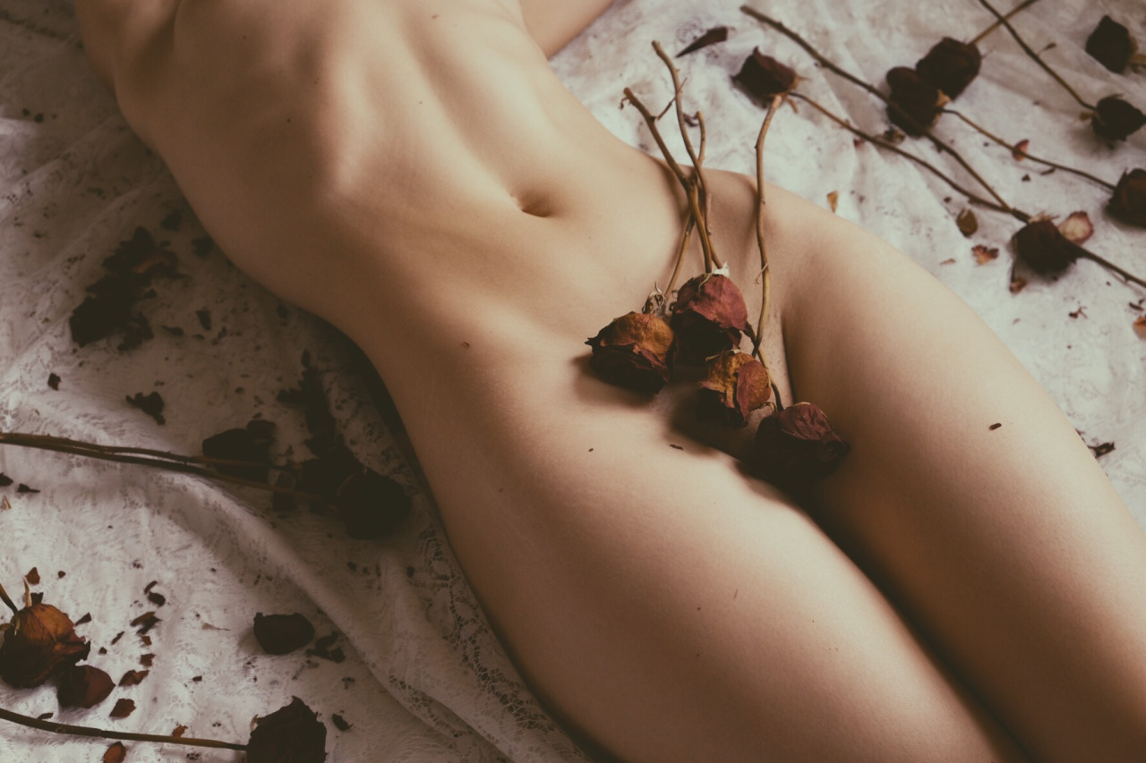 1280x853, 213 Kb / розы, голая