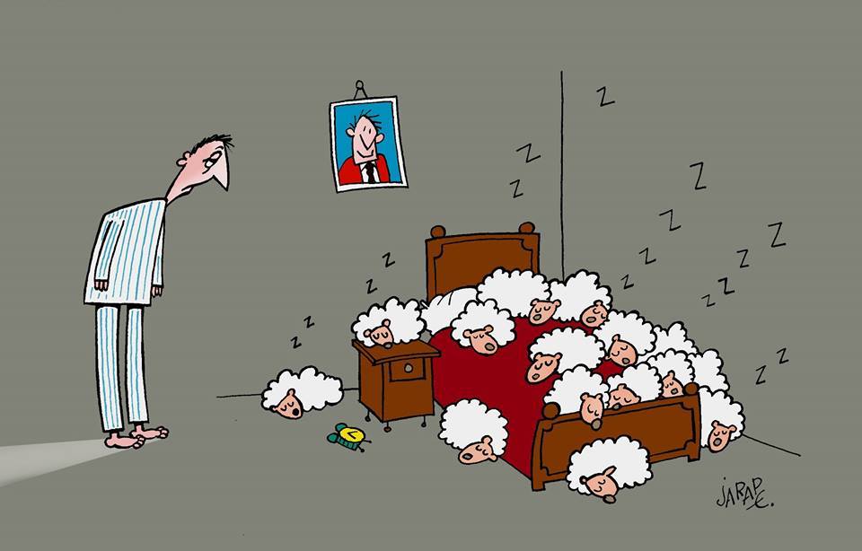 960x614, 43 Kb / овцы, постель, сон, Jairo Pelaez Rincon