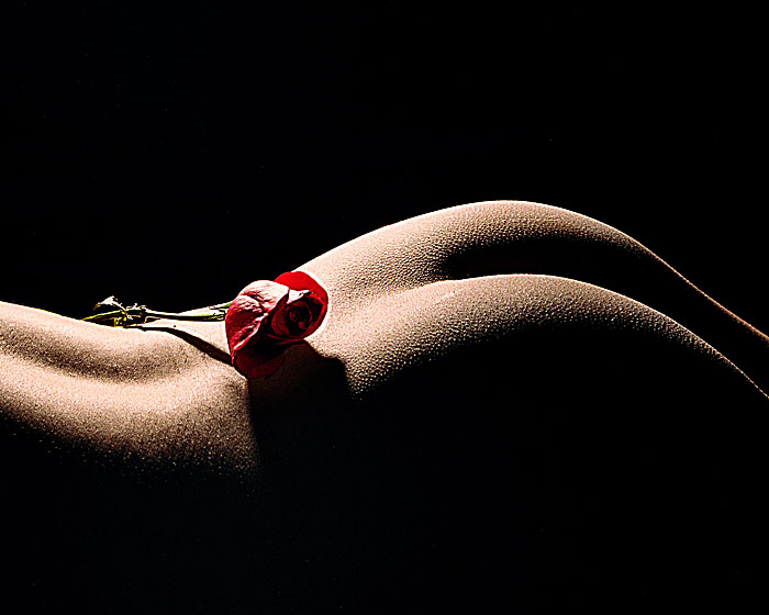 700x560, 74 Kb / роза, пупырышки