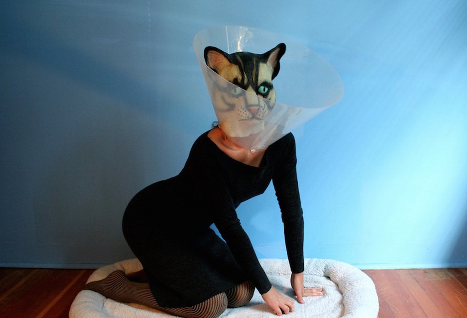 910x620, 111 Kb / женщина-кошка, воротник