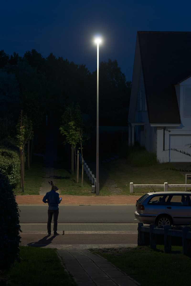 800x1199, 327 Kb / заяц, ночь, маска