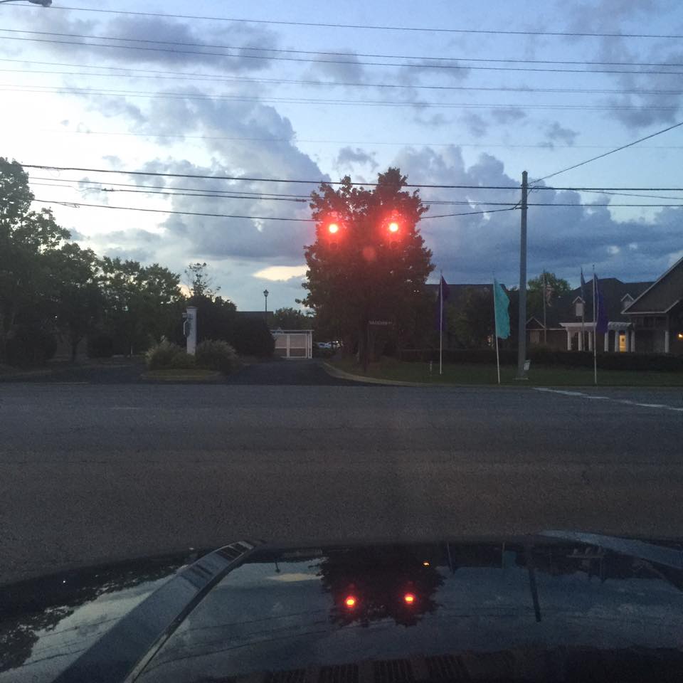 960x960, 72 Kb / сова, огни, отражение, дерево