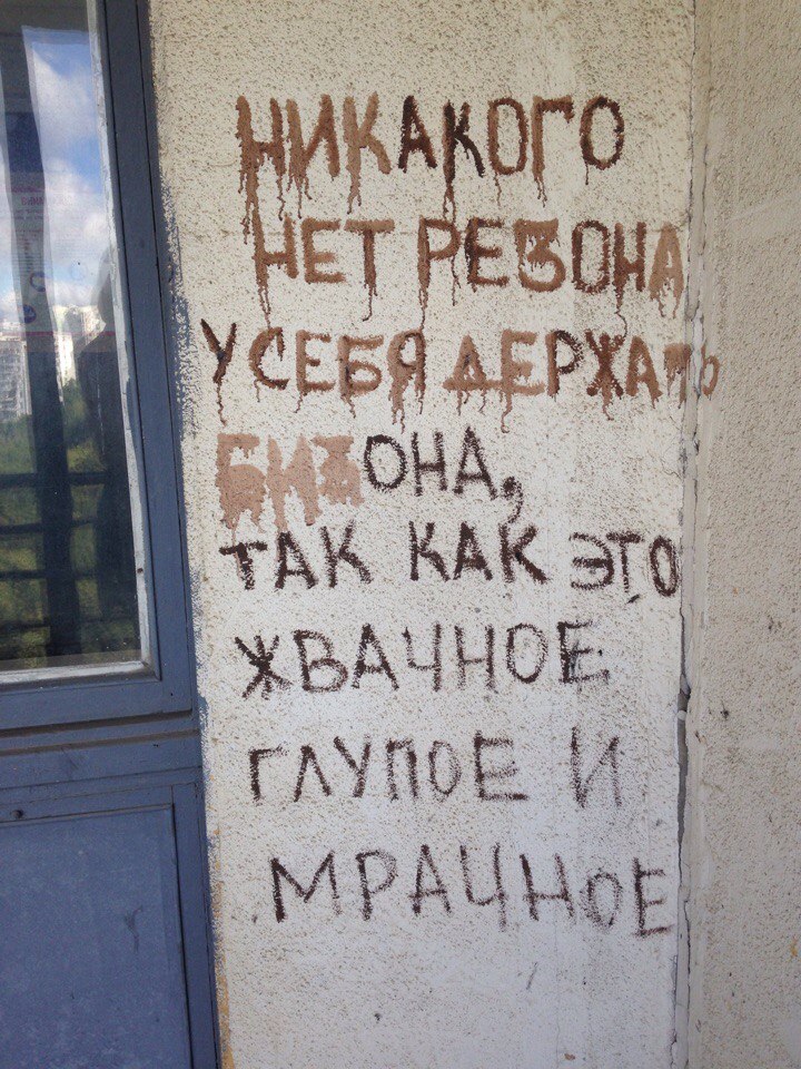 720x960, 232 Kb / бизон, резон