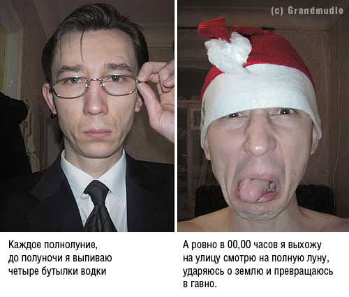 500x426, 36 Kb / полнолуние