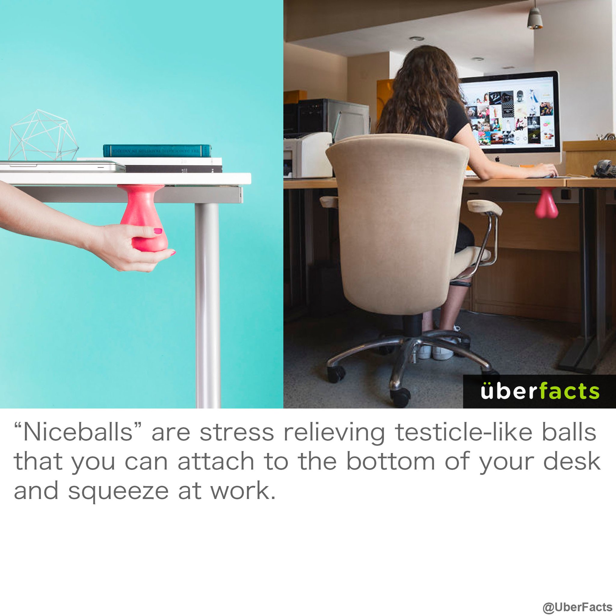 2048x2048, 290 Kb / мошонка, яйца, niceballs, антистресс