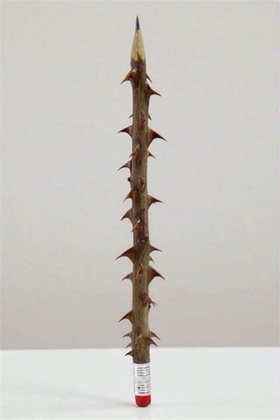 403x604, 20 Kb / карандаш, шипы