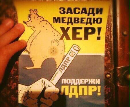 453x372, 31 Kb / хер, лдпр, медведь