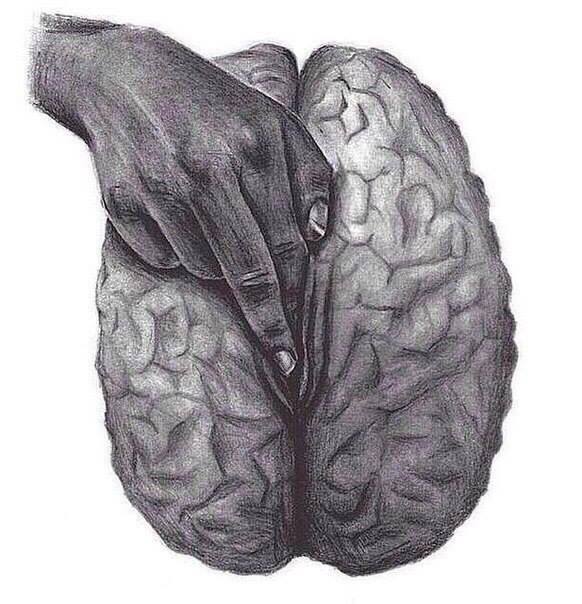 582x604, 55 Kb / мозг, рука, губы, половые, мастурбация