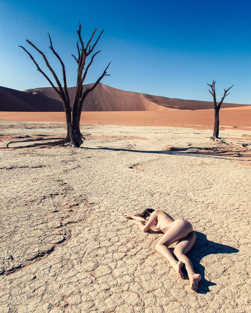 803x1000, 389 Kb / голая, пустыня, сухостой, деревья, барханы, песок