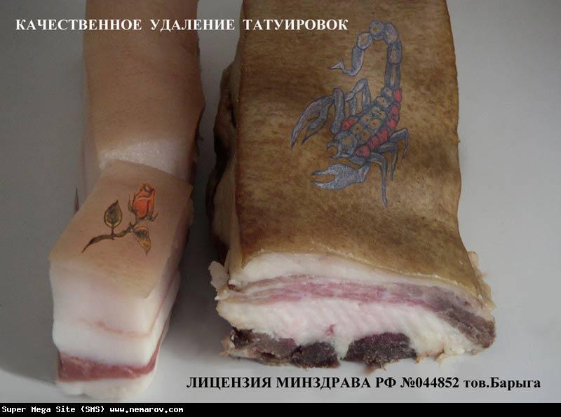 800x595, 50 Kb / сало, татуировка