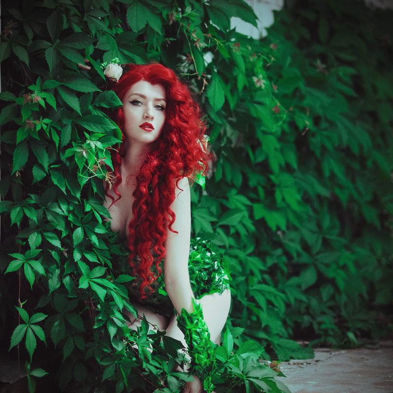 800x800, 175 Kb / рыжая, плющ, косплей