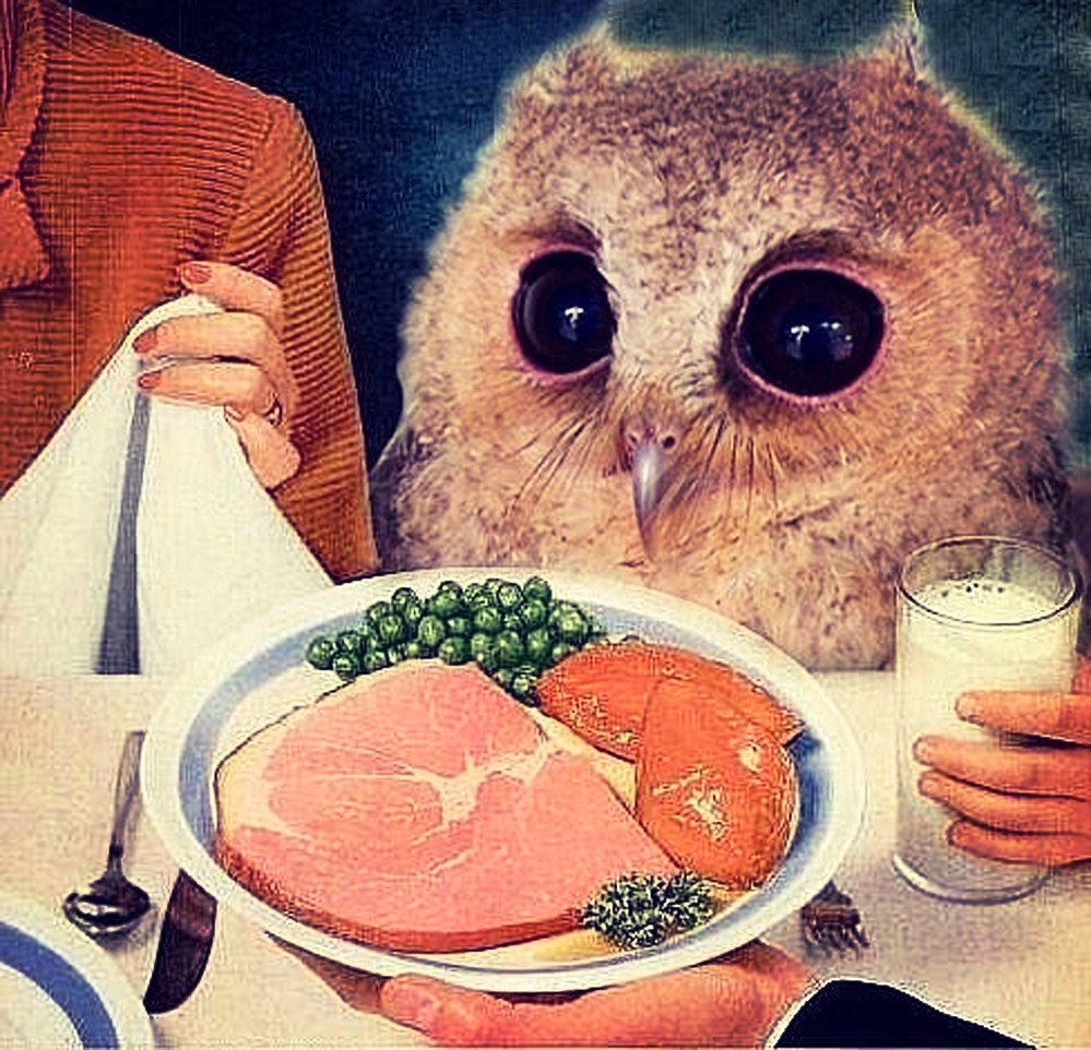 999x962, 225 Kb / сова, застолье