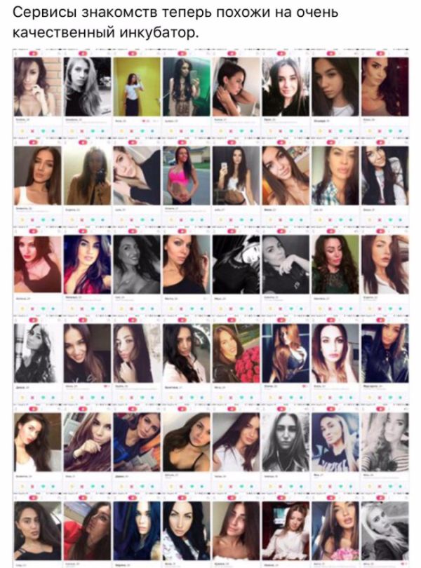 600x810, 95 Kb / инкубатор, знакомств, коллаж