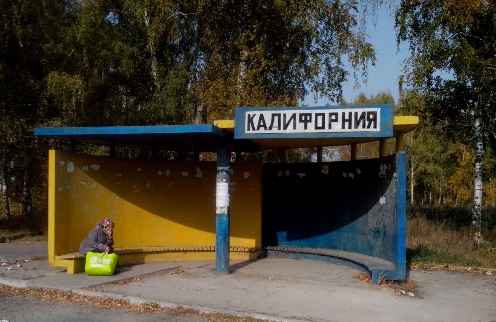 1000x650, 116 Kb / калифорния, остановка, новосибирск