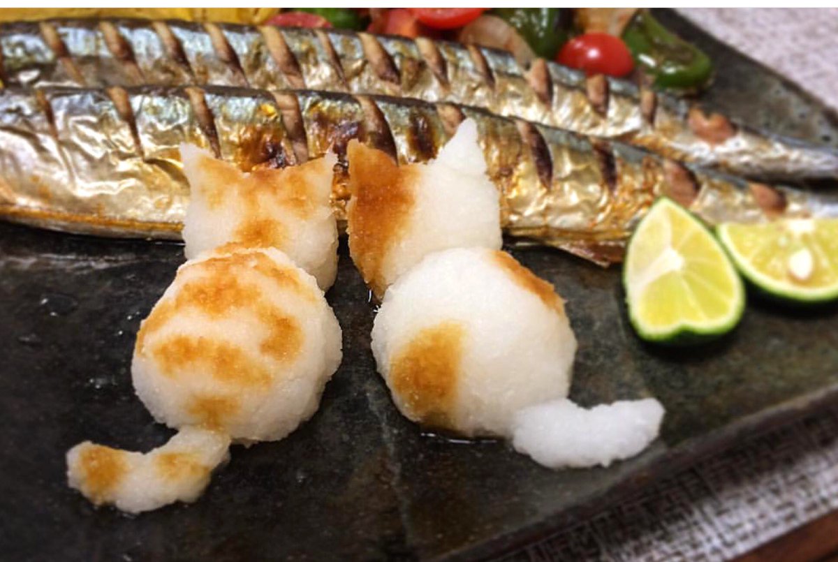 1200x805, 135 Kb / рыба, котики, рис