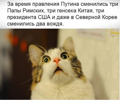 480x400, 28 Kb / путин, перемены, политота