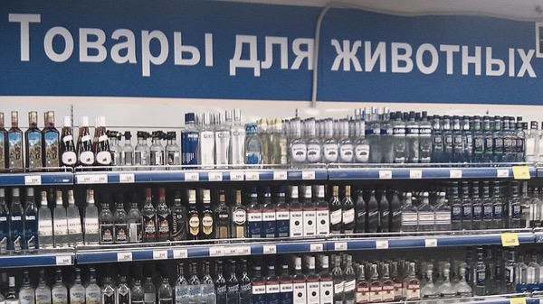 600x337, 61 Kb / водка, магазин, алкоголь, животные