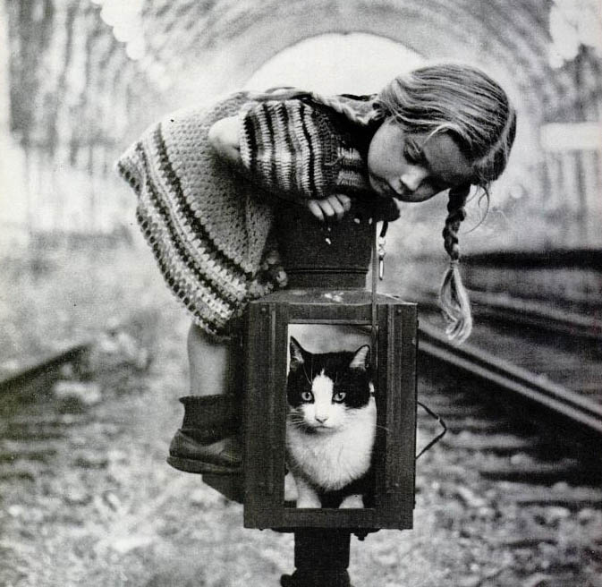 673x656, 82 Kb / косички, кот, девочка, рельсы, ч/б