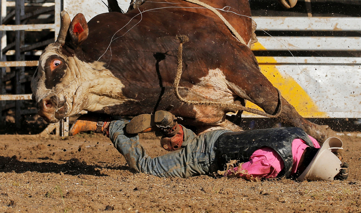 1400x825, 594 Kb / ковбой, бык, слюна