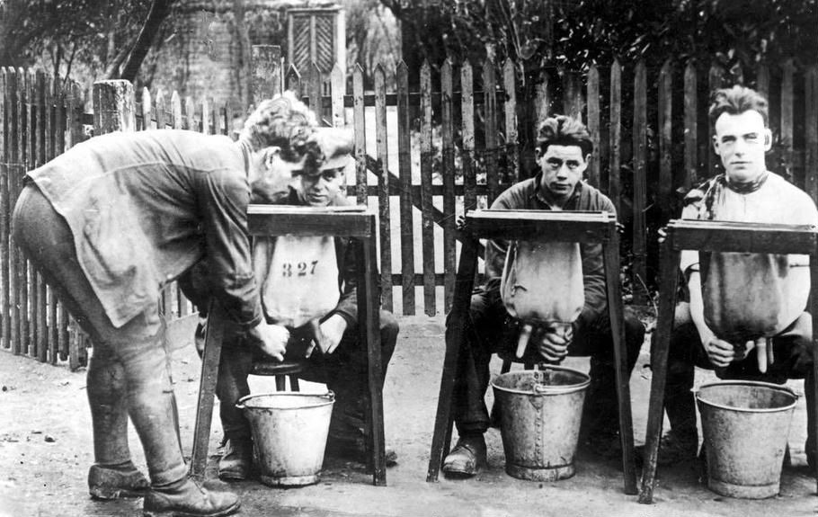 910x575, 111 Kb / дояры, обучение, ч/б