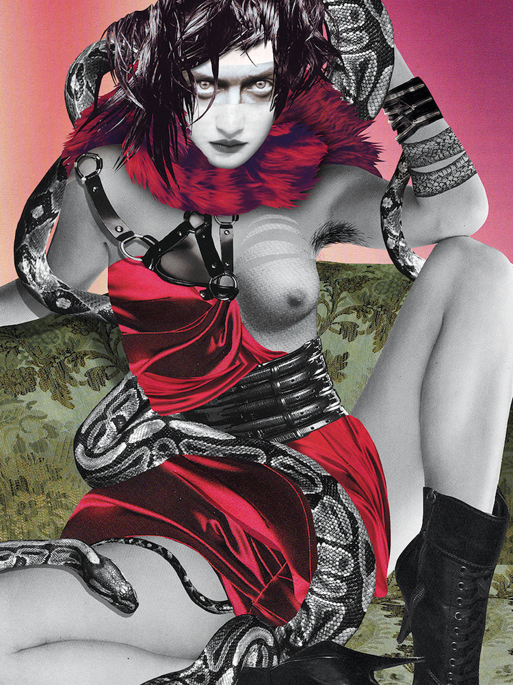 750x1000, 553 Kb / корсет, подмышка, змея, коллаж, kathrin kuhn