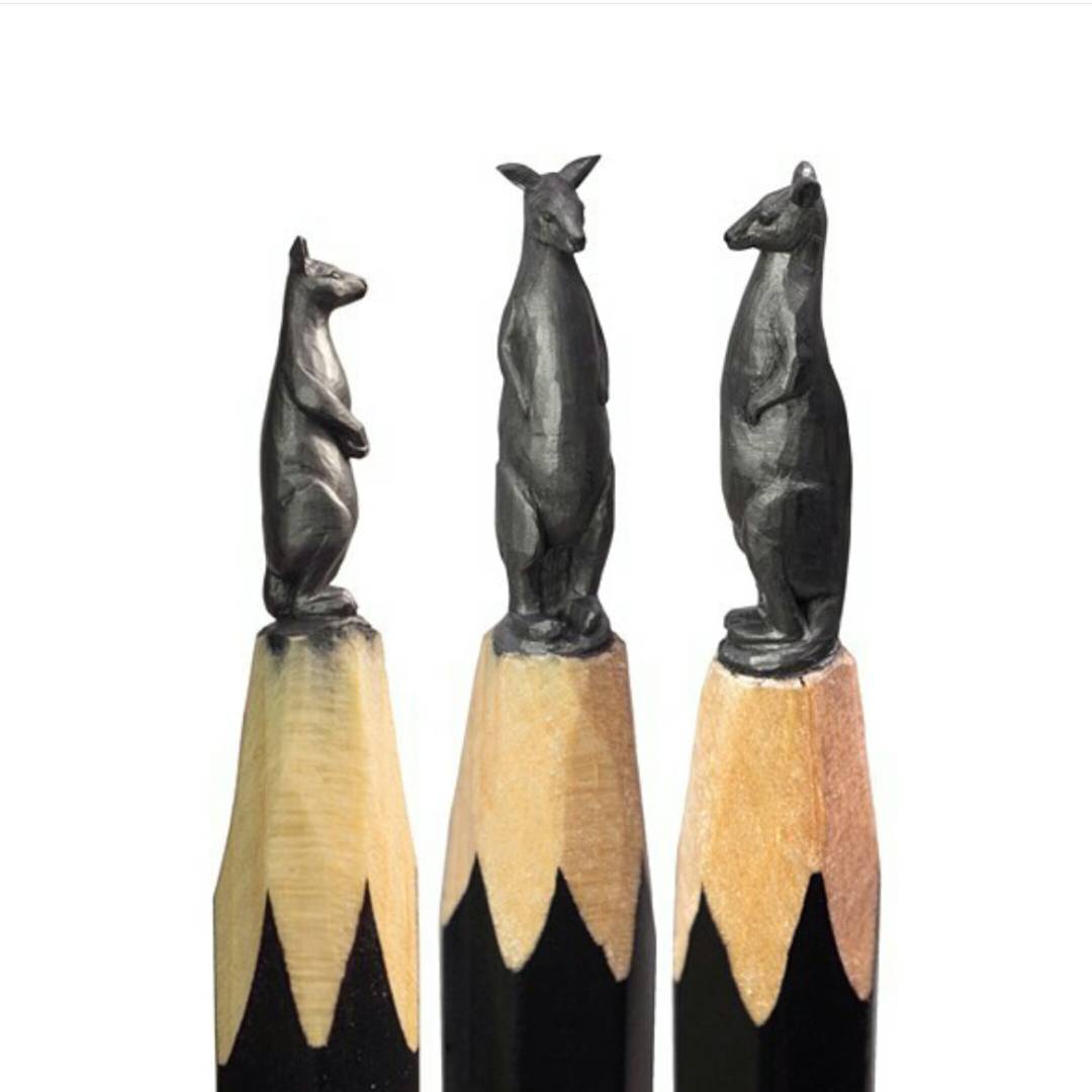 1080x1080, 50 Kb / кенгуру, карандаш, миниатюра