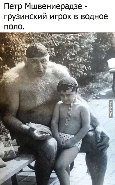 374x604, 58 Kb / мшвениерадзе, пацан, грузин, водное поло, шерсть, йети