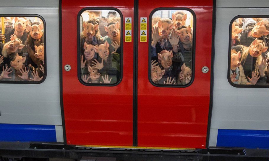 910x546, 97 Kb / электричка, двери, свиньи, маски