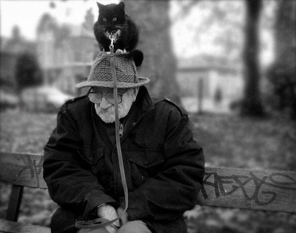 599x472, 46 Kb / старик, кот, ч/б