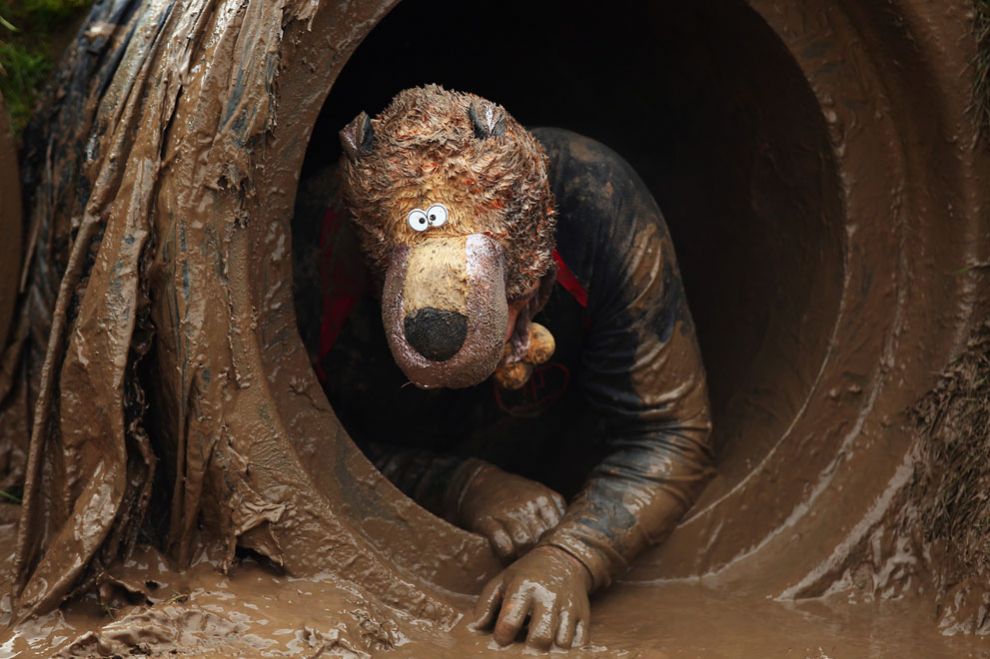 990x659, 99 Kb / костюм, волк, медведь, труба, грязь