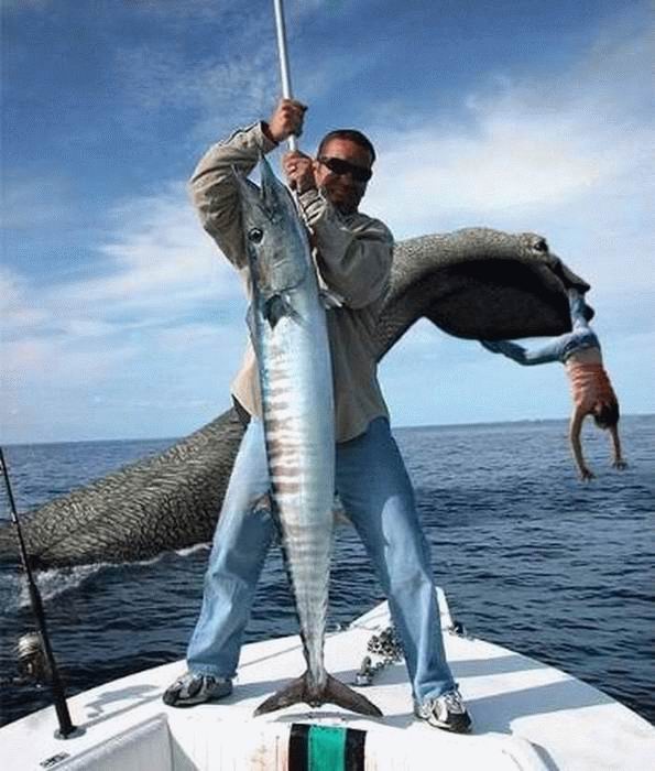 595x700, 65 Kb / рыбак, монстр