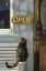кот, сидит, дверь, табличка, открыто, open