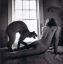 мужчина, кот, окно, постель, ч/б