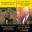 налоги, Путин, друг, Тимченко, санкции, доходы, скрепы, социальное государство, слуги народа