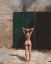 Natalie Roser, голая, попа, ворота, двери, стена, ступеньки