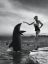 дельфин, ч/б, Guinevere Van Seenus