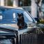 Rolls-Royce Motor Cars, кошка, радиатор, черный, кот, от усов до хвоста