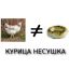 курица, несушка
