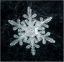 снежинка
