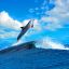 небо, облака, дельфин, море, волна