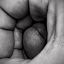 член, кисть, пальцы, мастурбация, ч/б